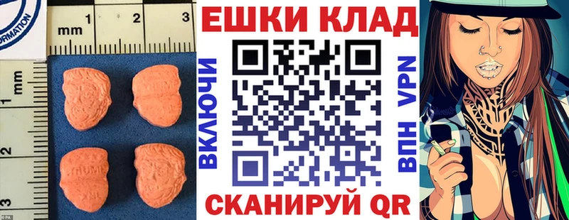 Ecstasy Punisher  Купить закладки  Вичуга 