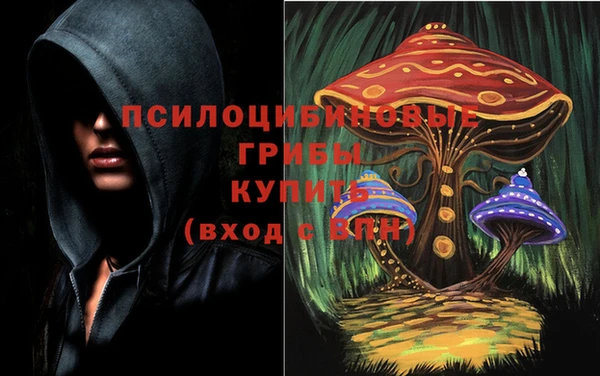стафф Костерёво