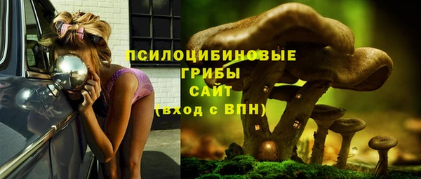 герыч Коряжма
