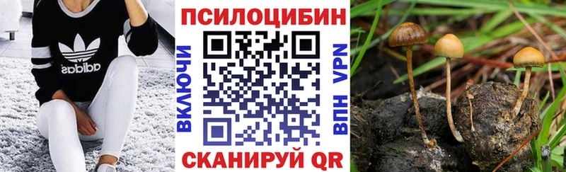 Псилоцибиновые грибы мицелий  Купить  Вичуга 